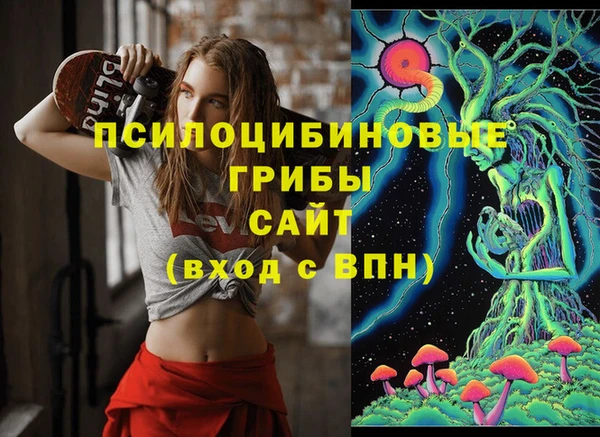 крисы Абинск