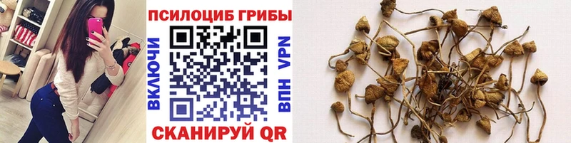 магазин  наркотиков  Усмань  blacksprut ТОР  Псилоцибиновые грибы мухоморы 